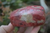 Polished Rhodonite Free Forms x 5 From Zimbabwe - Toprock Gemstones and Minerals 