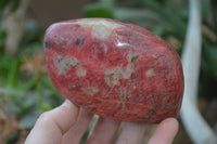 Polished Rhodonite Free Forms x 5 From Zimbabwe - Toprock Gemstones and Minerals 