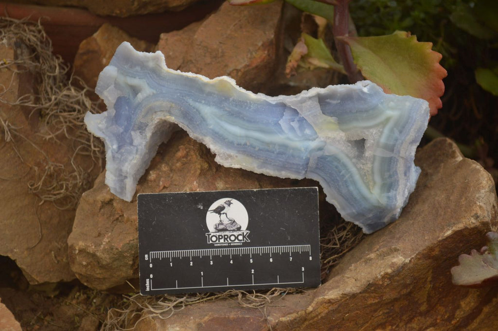 Natural Etched Blue Chalcedony Specimens x 3 From Nsanje, Malawi - Toprock Gemstones and Minerals 