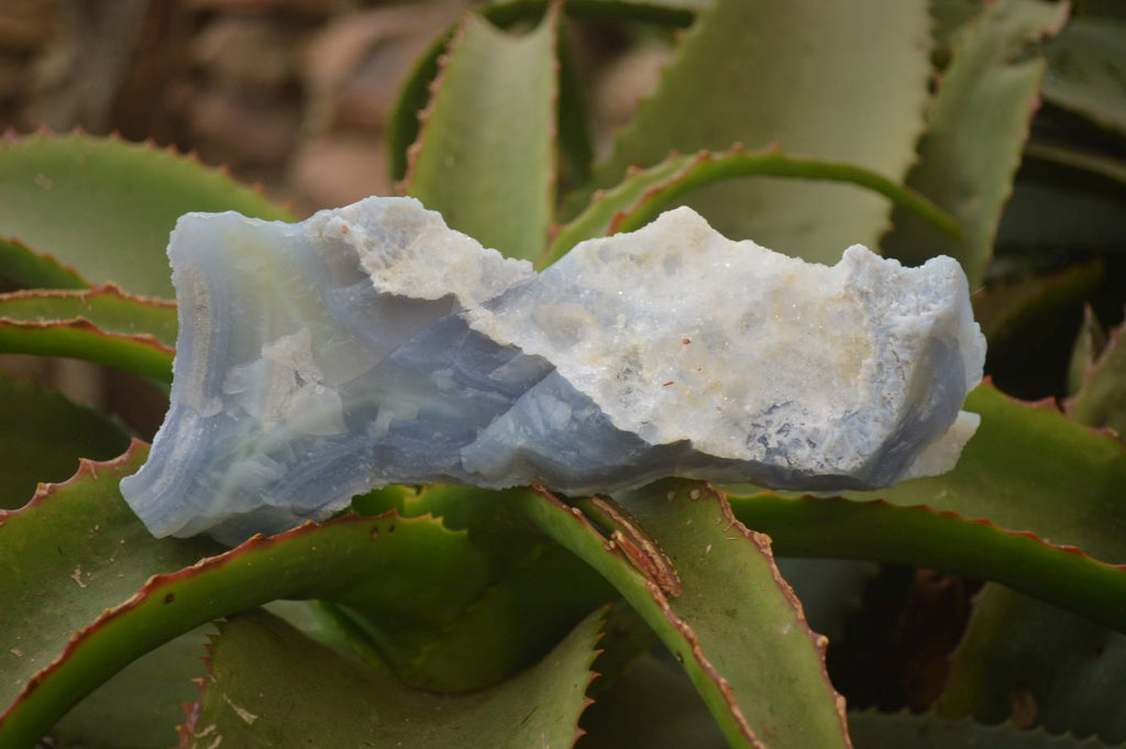 Natural Etched Blue Chalcedony Specimens x 3 From Nsanje, Malawi - Toprock Gemstones and Minerals 