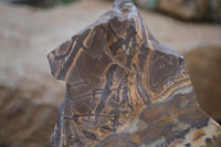Polished On One Side Nguni Jasper Specimens x 2 From Prieska, South Africa - Toprock Gemstones and Minerals 
