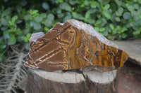 Polished On One Side Nguni Jasper Specimens x 2 From Prieska, South Africa - Toprock Gemstones and Minerals 
