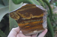 Polished On One Side Nguni Jasper Specimens x 2 From Prieska, South Africa - Toprock Gemstones and Minerals 