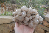 Natural Smokey Quartz Cluster x 1 From Luena, Congo - Toprock Gemstones and Minerals 
