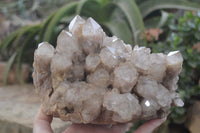 Natural Smokey Quartz Cluster x 1 From Luena, Congo - Toprock Gemstones and Minerals 
