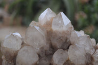 Natural Smokey Quartz Cluster x 1 From Luena, Congo - Toprock Gemstones and Minerals 