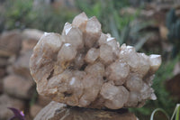 Natural Smokey Quartz Cluster x 1 From Luena, Congo - Toprock Gemstones and Minerals 