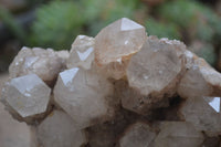 Natural Smokey Quartz Cluster x 1 From Luena, Congo - Toprock Gemstones and Minerals 