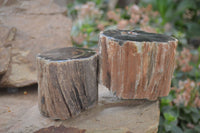 Polished Petrified Wood Branch Pieces x 4 From Gokwe, Zimbabwe - Toprock Gemstones and Minerals 