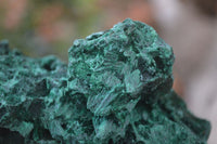 Natural Silky Malachite Specimens x 4 From Kasompe, Congo - Toprock Gemstones and Minerals 