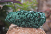 Natural Silky Malachite Specimens x 4 From Kasompe, Congo - Toprock Gemstones and Minerals 