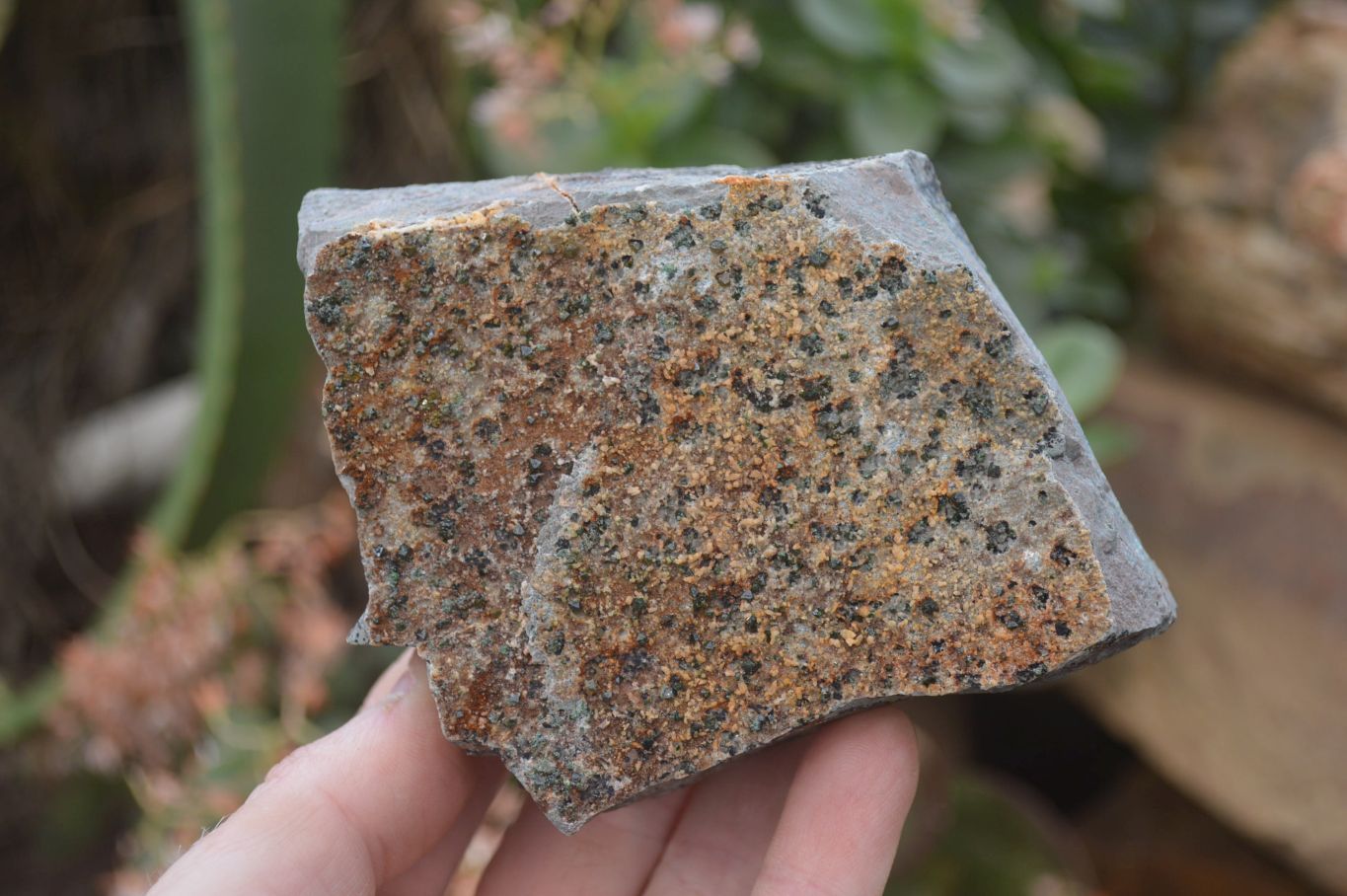 Natural Libethenite Crystals On Dolomite Matrix Specimens x 4 From Shituru, Congo - Toprock Gemstones and Minerals 
