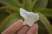 Natural Etched Blue Chalcedony Specimens x 1 Kg Lot From Malawi - Toprock Gemstones and Minerals 
