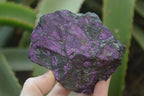 Natural Metallic Purpurite Cobbed Specimens x 6 From Namibia - Toprock Gemstones and Minerals 
