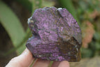 Natural Metallic Purpurite Cobbed Specimens x 6 From Namibia - Toprock Gemstones and Minerals 
