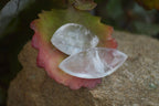 Polished Clear Quartz "Angel Tears" Pendant Pieces x 20 From Madagascar - Toprock Gemstones and Minerals 