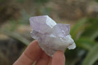 Natural Jacaranda Amethyst Crystals x 35 From Zambia - Toprock Gemstones and Minerals 