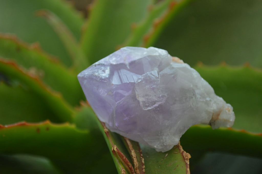 Natural Jacaranda Amethyst Crystals x 35 From Zambia - Toprock Gemstones and Minerals 