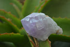 Natural Jacaranda Amethyst Crystals x 35 From Zambia - Toprock Gemstones and Minerals 