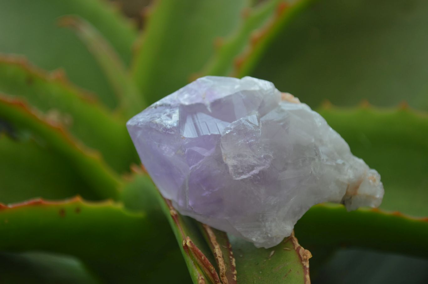 Natural Jacaranda Amethyst Crystals x 35 From Zambia - Toprock Gemstones and Minerals 