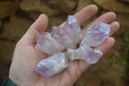 Natural Jacaranda Amethyst Crystals x 35 From Zambia - Toprock Gemstones and Minerals 
