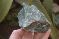 Natural Jade Cobbed Specimens x 12 From Swaziland
