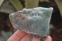 Natural Jade Cobbed Specimens x 12 From Swaziland