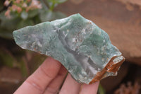 Natural Jade Cobbed Specimens x 12 From Swaziland