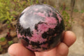 Polished Rhodonite Spheres x 4 From Madagascar - Toprock Gemstones and Minerals 