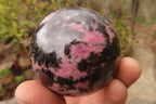Polished Rhodonite Spheres x 4 From Madagascar - Toprock Gemstones and Minerals 