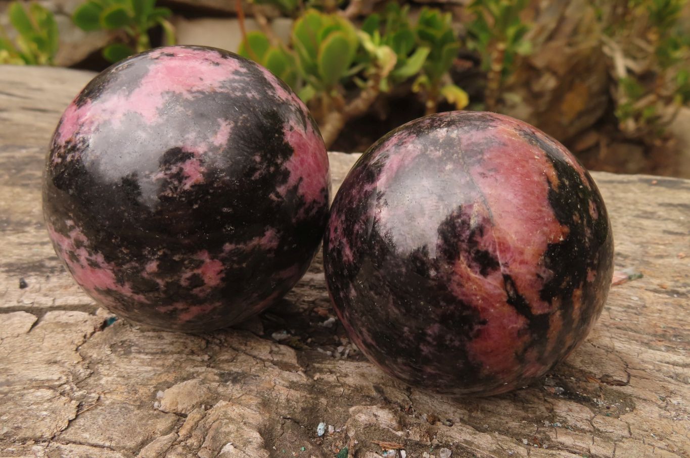 Polished Rhodonite Spheres x 4 From Madagascar - Toprock Gemstones and Minerals 