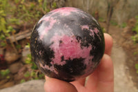 Polished Rhodonite Spheres x 4 From Madagascar - Toprock Gemstones and Minerals 