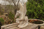 Polished White Marble Pegasus Carving x 1 From Zimbabwe - Toprock Gemstones and Minerals 