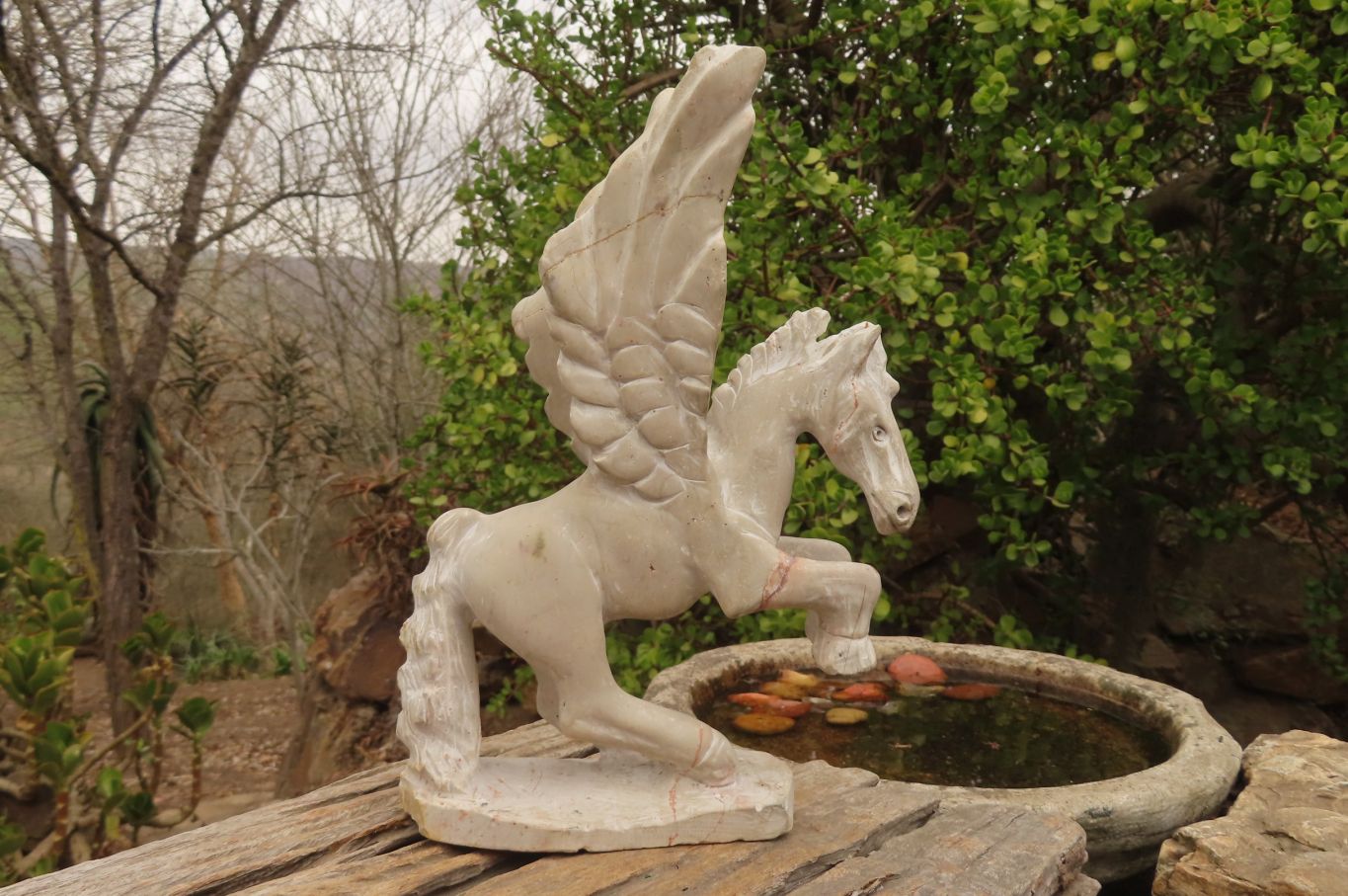 Polished White Marble Pegasus Carving x 1 From Zimbabwe - Toprock Gemstones and Minerals 