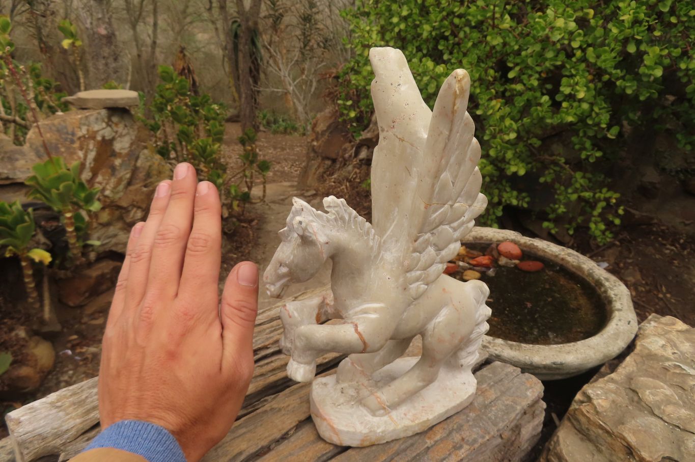 Polished White Marble Pegasus Carving x 1 From Zimbabwe - Toprock Gemstones and Minerals 