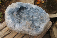 Natural Celestite Specimen x 1 From Sakoany, Madagascar - Toprock Gemstones and Minerals 