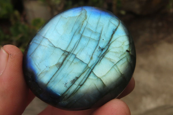 Polished Labradorite Galet / Palm Stones x 12 From Tulear, Madagascar - Toprock Gemstones and Minerals 