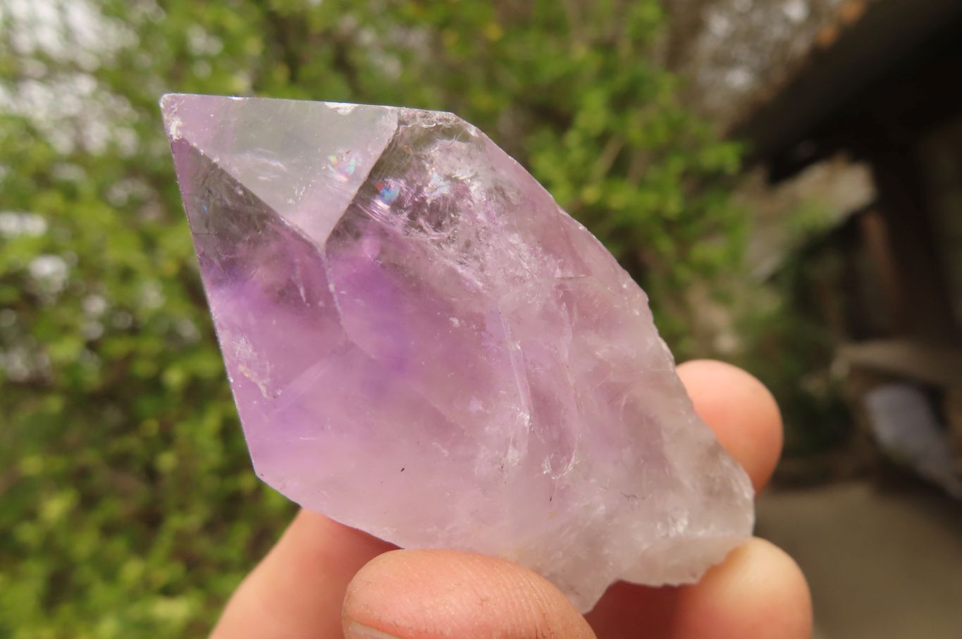 Natural Jacaranda Amethyst Single Crystals x 35 From Zambia - Toprock Gemstones and Minerals 