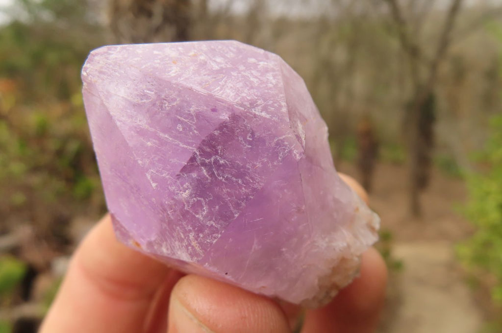 Natural Jacaranda Amethyst Single Crystals x 35 From Zambia - Toprock Gemstones and Minerals 