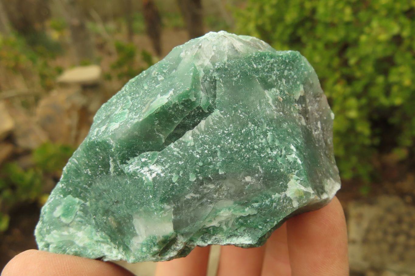 Natural Green Jade Specimens x 12 From Swaziland - Toprock Gemstones and Minerals 