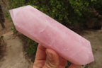 Polished Rose Quartz Crystals x 3 From Madagascar - Toprock Gemstones and Minerals 