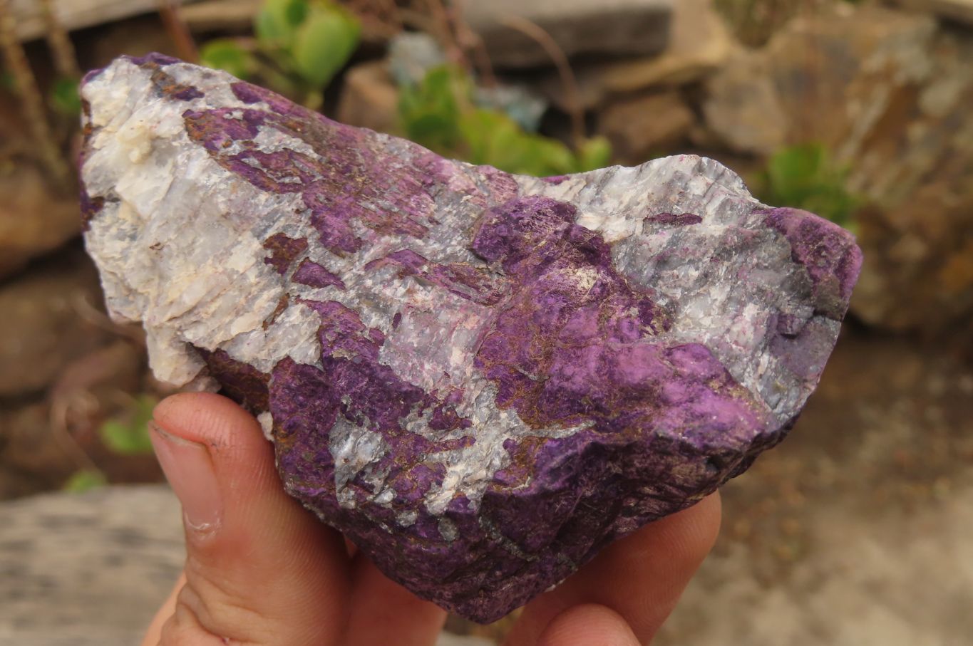 Natural Metallic Purpurite Cobbed Specimens x 6 From Erongo, Namibia - Toprock Gemstones and Minerals 