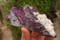 Natural Metallic Purpurite Cobbed Specimens x 6 From Erongo, Namibia - Toprock Gemstones and Minerals 