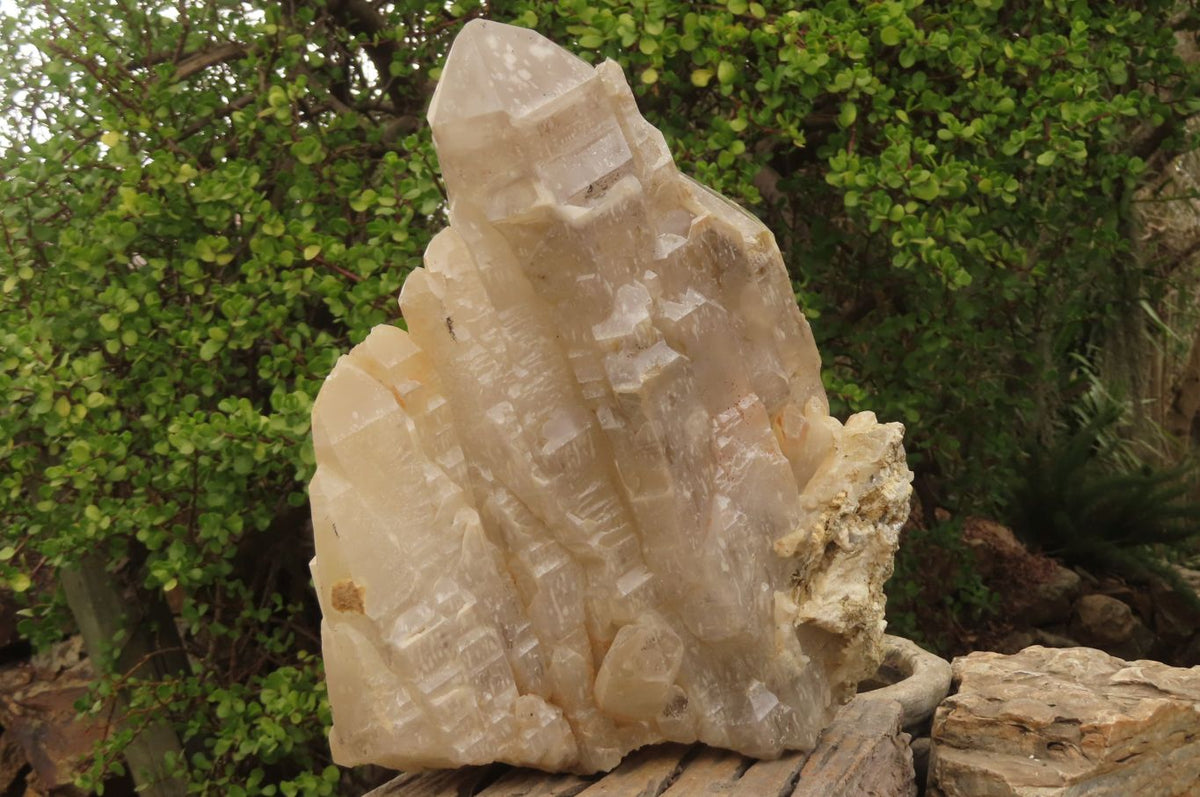 Natural Elestial Window Quartz Cluster x 1 From Madagascar - Toprock Gemstones and Minerals 