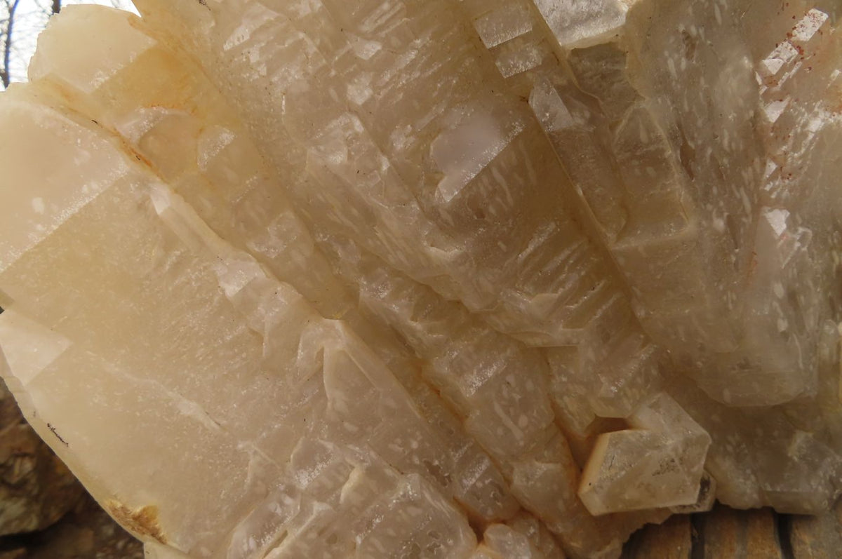 Natural Elestial Window Quartz Cluster x 1 From Madagascar - Toprock Gemstones and Minerals 