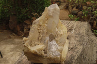 Natural Elestial Window Quartz Cluster x 1 From Madagascar - Toprock Gemstones and Minerals 