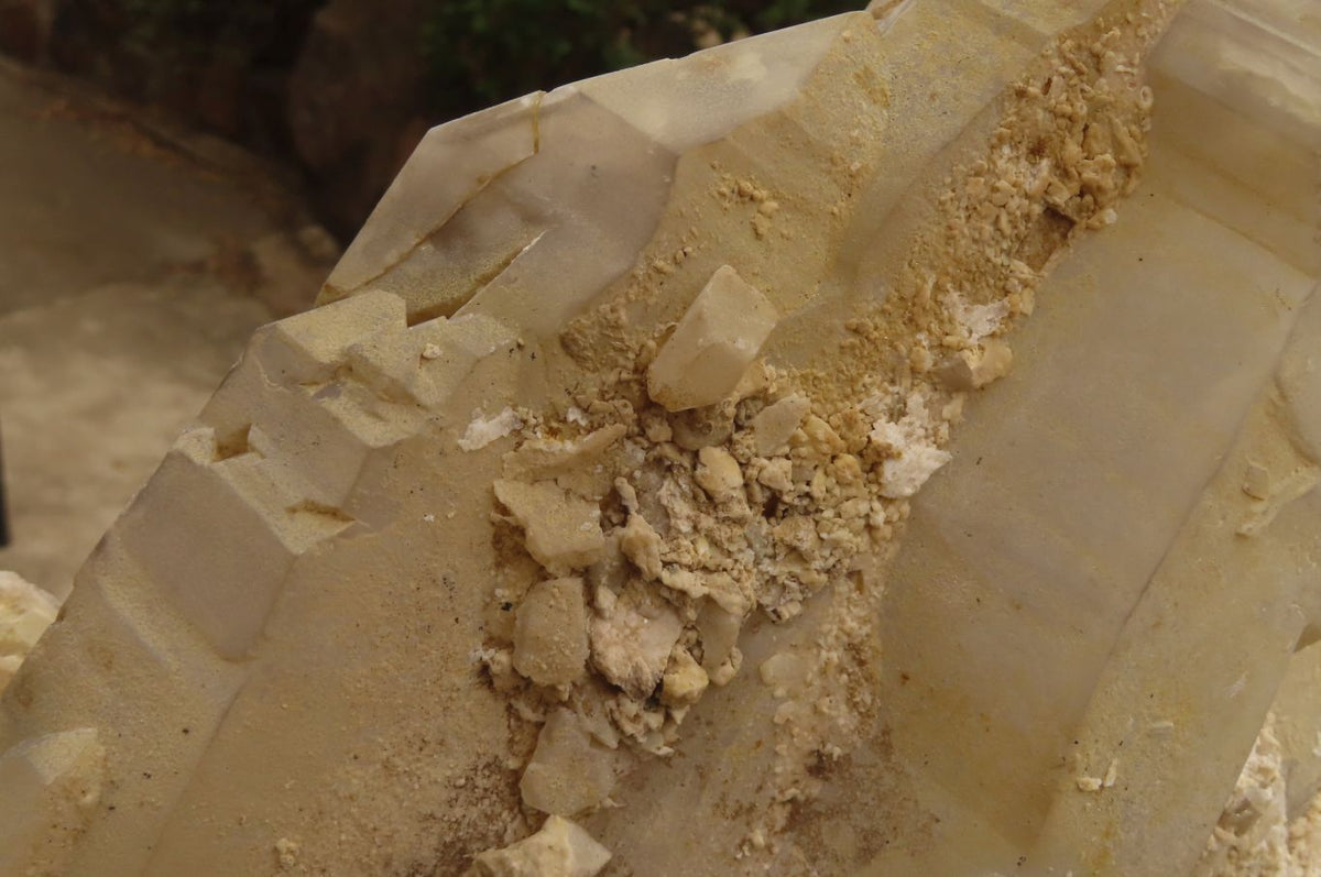 Natural Elestial Window Quartz Cluster x 1 From Madagascar - Toprock Gemstones and Minerals 