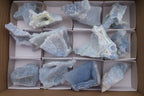 Natural Etched Blue Chalcedony Specimens x 12 From Nsanje, Malawi - Toprock Gemstones and Minerals 