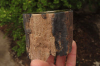 Polished Petrified Wood Branch Pieces x 3 From Gokwe, Zimbabwe - Toprock Gemstones and Minerals 