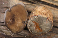 Polished Petrified Wood Branch Pieces x 3 From Gokwe, Zimbabwe - Toprock Gemstones and Minerals 